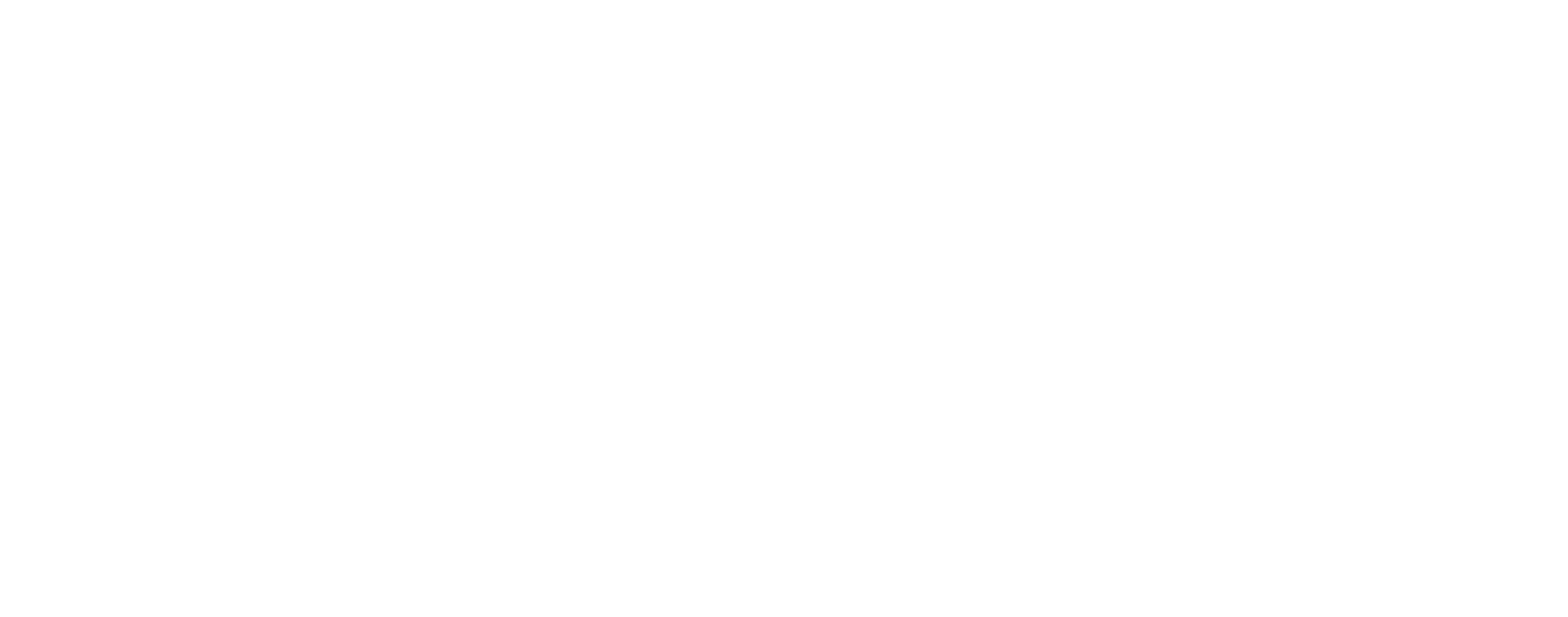 Celestic Logo and brandmark